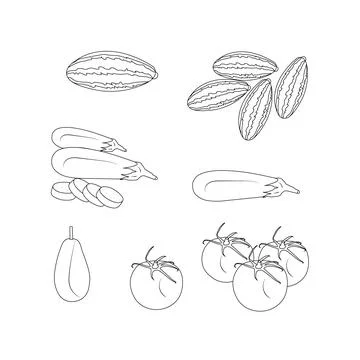 Set of beautiful vegetable Line Art Design Stock-Illustration
