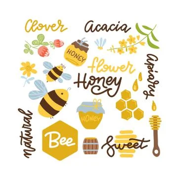 Set of bee, honey honey elements, camomile, clover flowers, wooden spoon, hon Stock Illustration