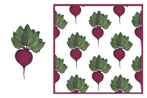 Set - Beet root with green leaves on a white background and seamless pattern. Stock Illustration