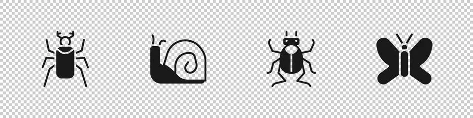 Set Beetle bug, Snail, and Butterfly icon. Vector Stock Illustration