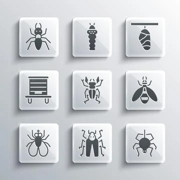 Set Beetle bug, Spider, deer, Insect fly, Hive for bees, Ant and Butterfly Stock Illustration