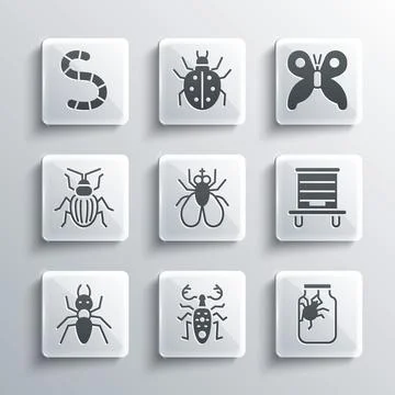 Set Beetle deer, Spider in jar, Hive for bees, Insect fly, Ant, Chafer beet.. Stock Illustration