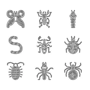 Set Beetle deer, Termite, Spider, Mite, Larva insect, Worm, and Butterfly icon Stock Illustration