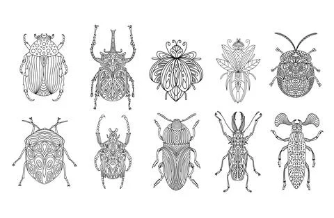 Set of beetles and insects in a linear style. Linear vector illustration Stock Illustration