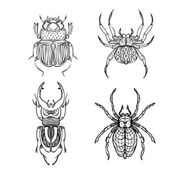 Set of beetles and spiders line vector illustrations. Hand drawing style 스톡 일러스트