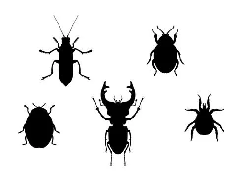 Set beetles insect black silhouette animal Stock Illustration