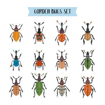 Set of beetles isolated on white background Stock Illustration