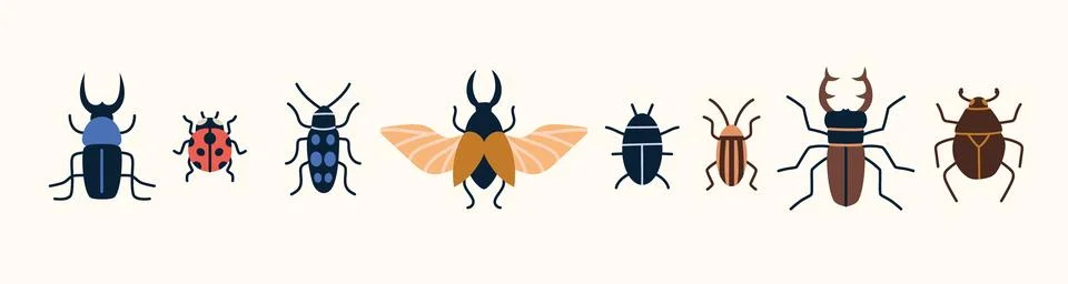 Set with beetles like stag beetle, ladybug, dung beetle, Colorado potato be.. Stock Illustration