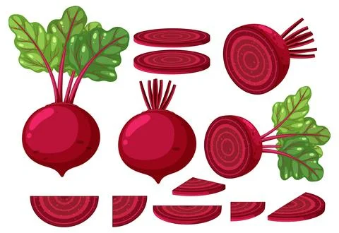 Set of beetroots in different forms 스톡 일러스트