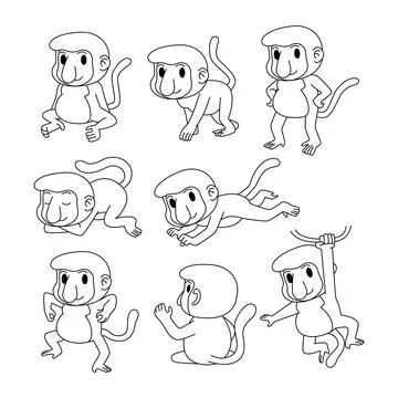 Set of bekantan proboscis monkey doodle collection, monkey outline coloring.. Stock Illustration