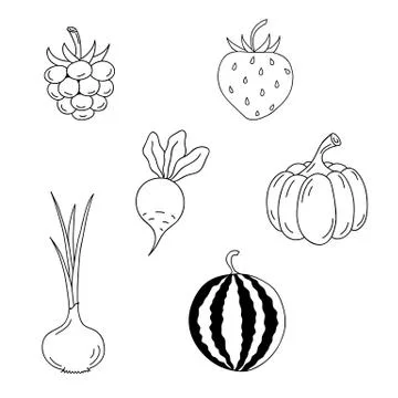 Set of berries and vegetables. Stock Illustration