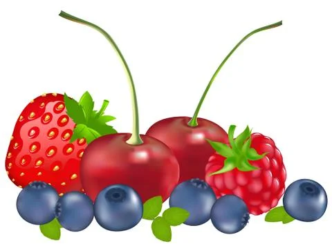 Set of berries Stock Illustration