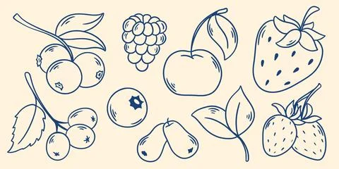 Set berries in Mediterranean style Ilustração Stock