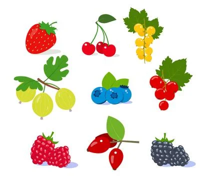 Set of berries Strawberry raspberry cherry and blackberry Illustrazione stock