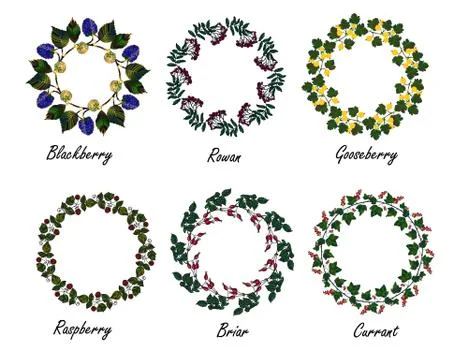 Set of berry frames - wreath Stock-Illustration