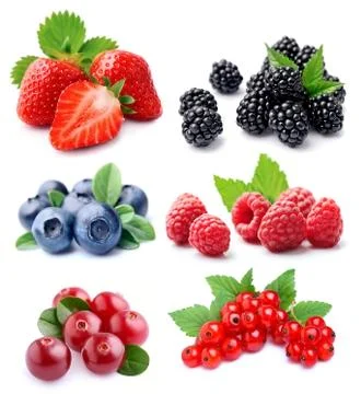 Set of berry. Foto stock