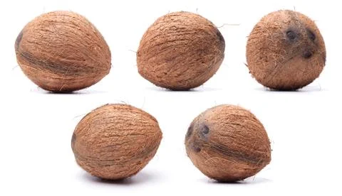 Set of big coconuts isolated on white background Stock Photos