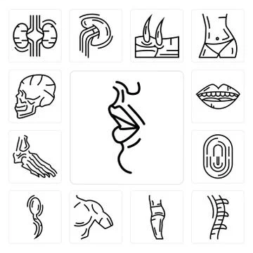 Set of Big Lips, Human Spine, Body Side, Men Shoulder, Two Spermatozoon, Fing Free Stock Illustration