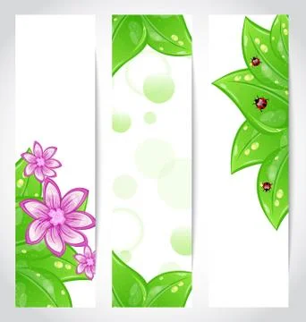 Set of bio concept design eco friendly banners Illustrazione stock