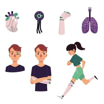 Set of bionic, artificial organs and prosthesis Stock Illustration