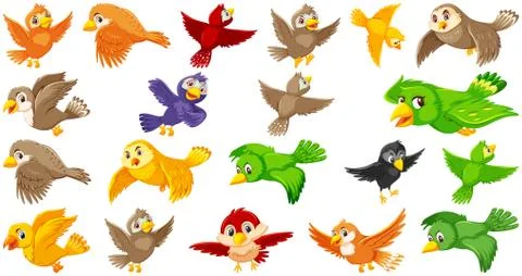 Set of bird cartoon character Stock Illustration