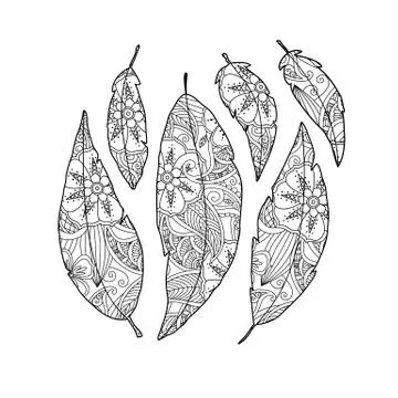 Set of bird feather with ornament inside isolated on white Stock Illustration