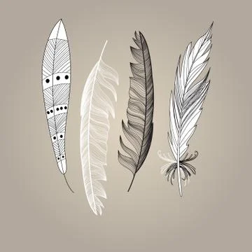 Set of bird feathers graphic Stock Illustration
