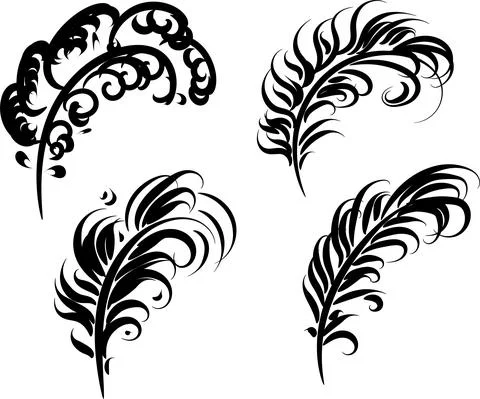Set of bird feathers. Vector illustration in line art. Outline witch transparent Stock Illustration