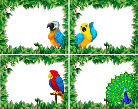 Set of bird frame Stockillustratie