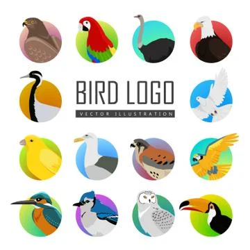 Set of Bird Logo Vector Illustration Stock Illustration