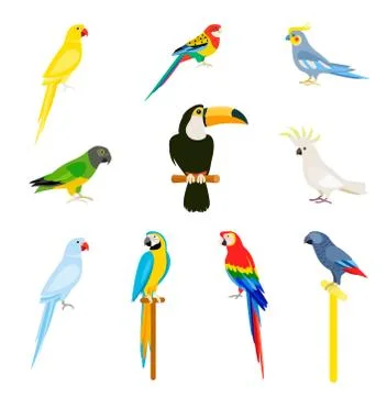 A set of birds in a flat style. Stock Illustration