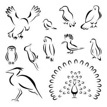 Set of birds Stock Illustration