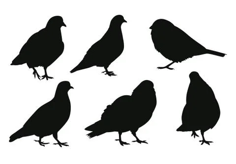 Set of birds silhouettes Stock Illustration
