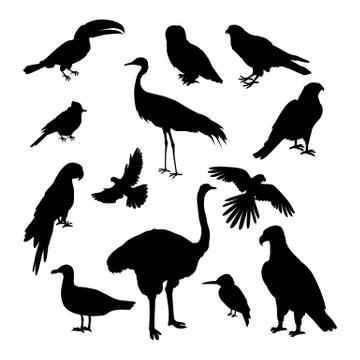 Set of Birds Silhouettes Vector Illustration Stock Illustration