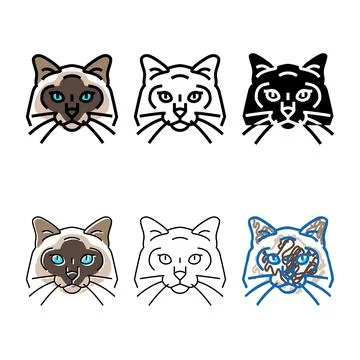 Set birman cat cute pet color icon vector Stock Illustration