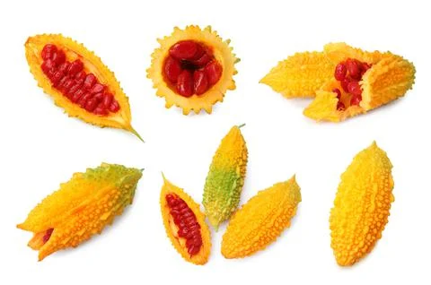 Set with bitter melons on white background Foto stock