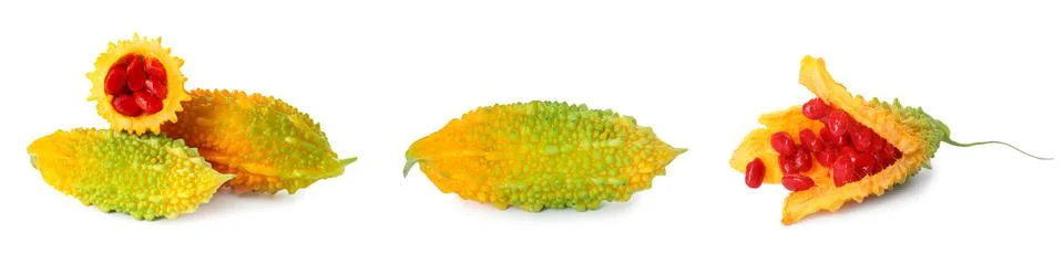 Set with bitter melons on white background. Banner design Foto stock