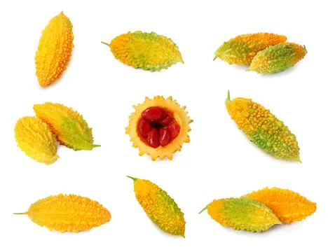 Set with bitter melons on white background 스톡 사진