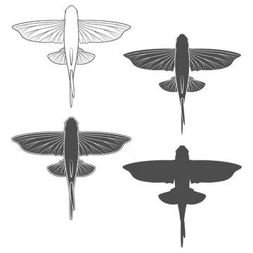 Set of black and white flying fish illustrations Stock Illustration