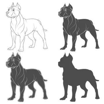 Set of black and white illustrations with a pit bull dog. Isolated objects. Stock Illustration