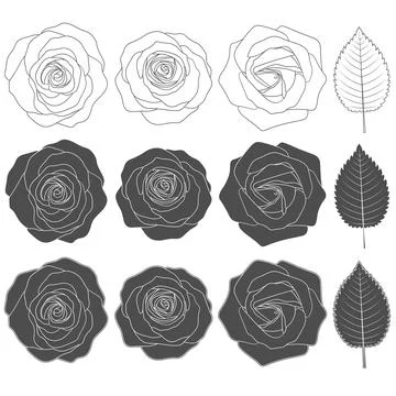 Set of black and white illustrations with roses. Isolated vector objects. Stock Illustration