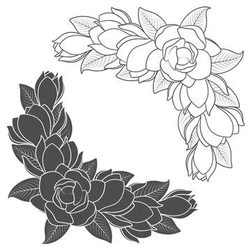 Set of black and white illustrations of flowering magnolia branches. Stock Illustration