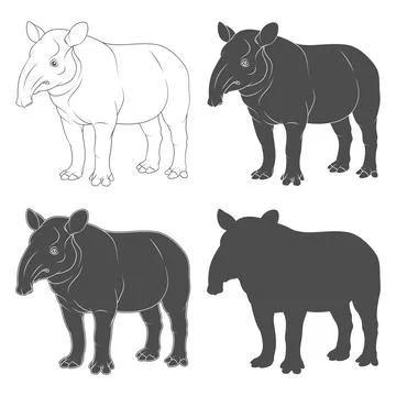 Set of black and white illustrations of tapir. Isolated vector objects. Stock Illustration