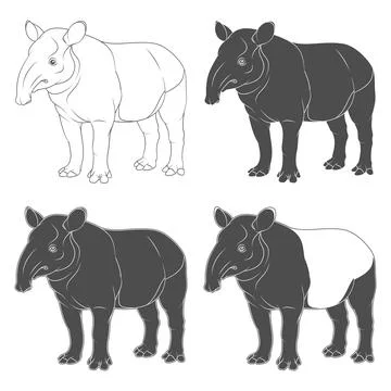 Set of black and white illustrations of tapir. Isolated vector objects. Stock Illustration
