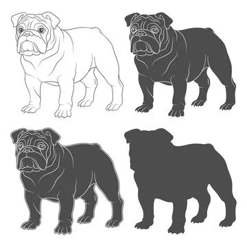 Set of black and white illustrations with english bulldog. Stock Illustration