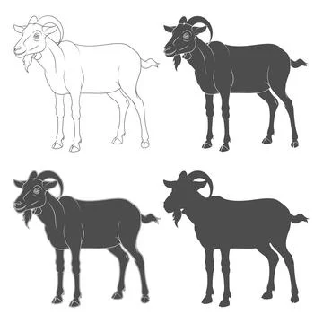 Set of black and white illustrations with a goat. Stock Illustration