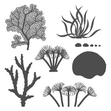 Set of black and white illustrations with corals and algae. Stock Illustration