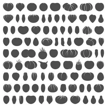 Set of black and white illustrations with tomatoes. Stock Illustration