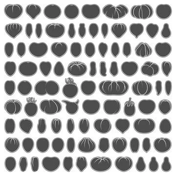 Set of black and white illustrations with tomatoes. Stock Illustration