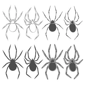Set of black and white illustrations with spider Stock Illustration